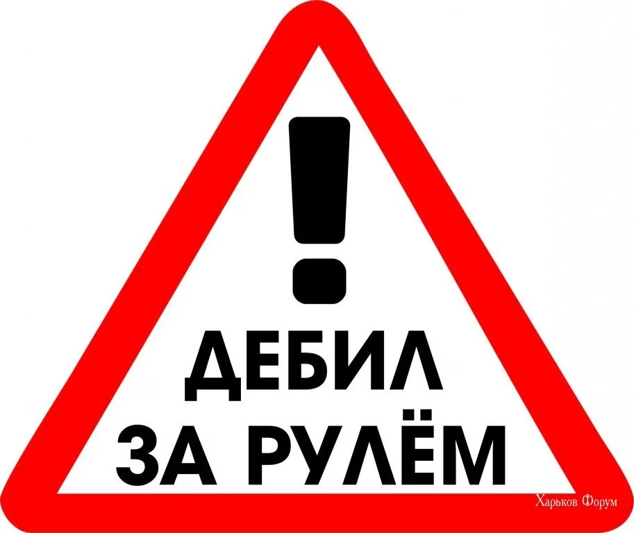 37e37144861dda6e.webp
