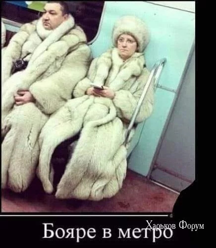 37e46d14ba76b0dd141.webp