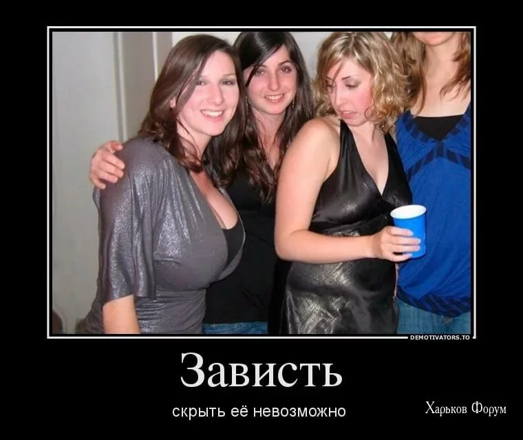 37ed1967cbc8dbbe9813c3d.webp