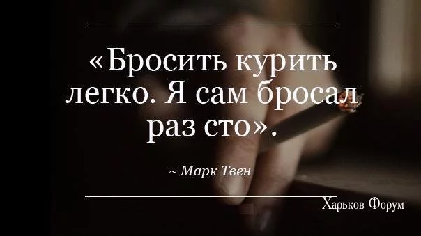 37f263590380d2c44b52488.webp