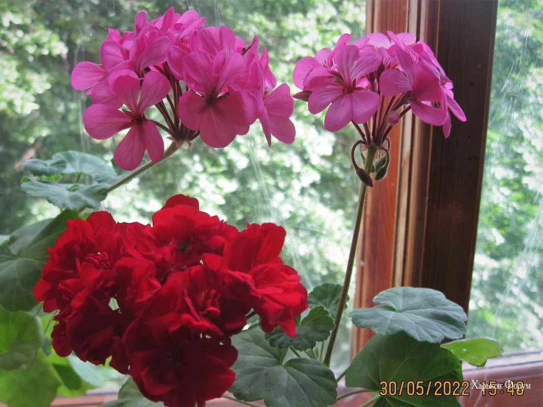 37f94a976e2b3afde168.webp