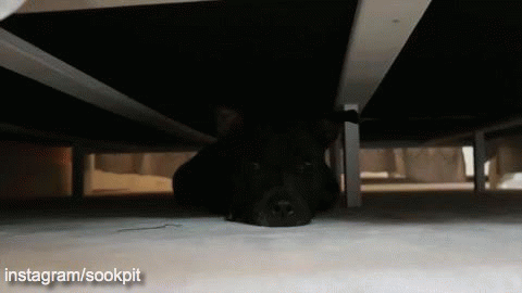 37fc6ba1330d914a23.gif