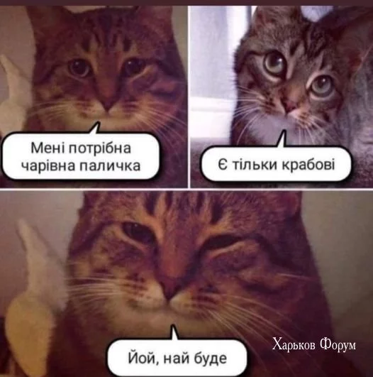 3801558300d6b2197440b2d9.webp