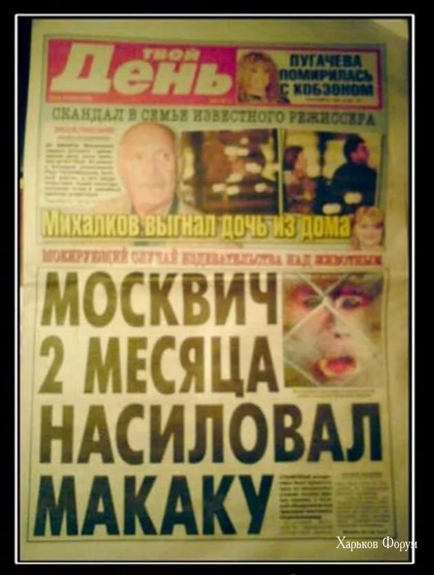 3806e11c8514e128960.webp