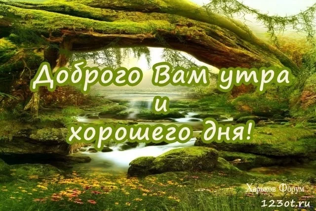 38168b1c01c4cc0f704ce.webp