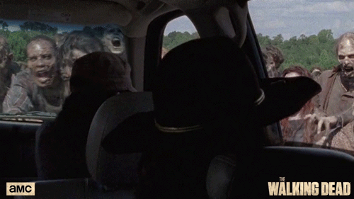 381b6c3227be881e4e4d.gif