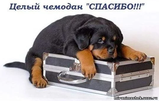 38220464.webp