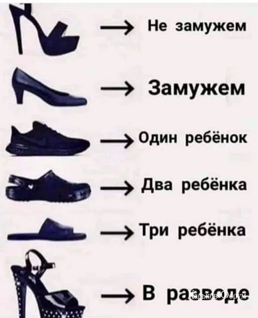 38238f73fb5ddfc4.webp