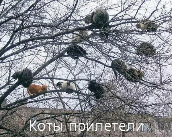 383.webp