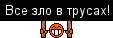 383.webp