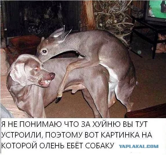 3835860.webp