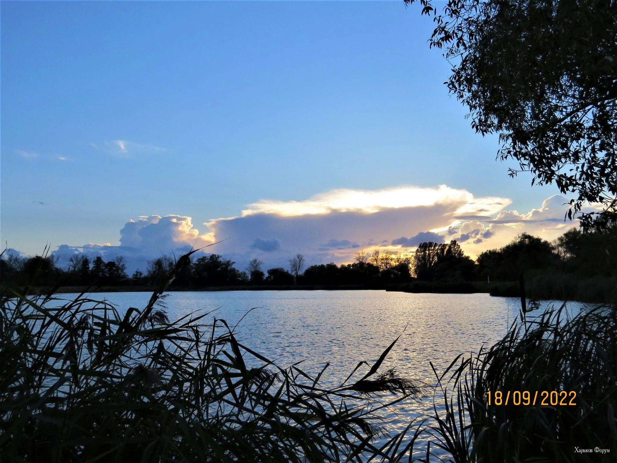 38396a518431e3326adaeb5.webp