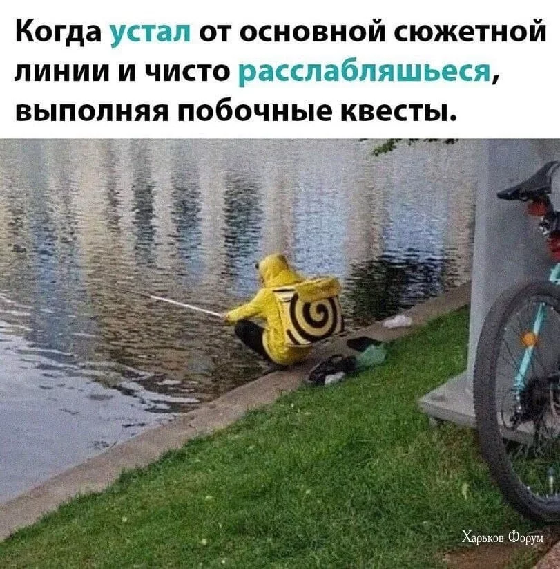 383f8b73c2da00f938.webp
