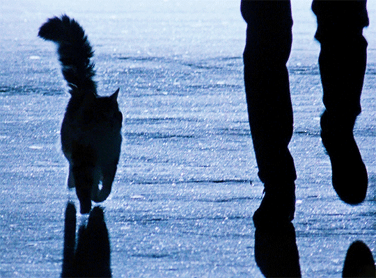 38426e45f9bea3e11728e60a237f4b6d2a51a201.gif