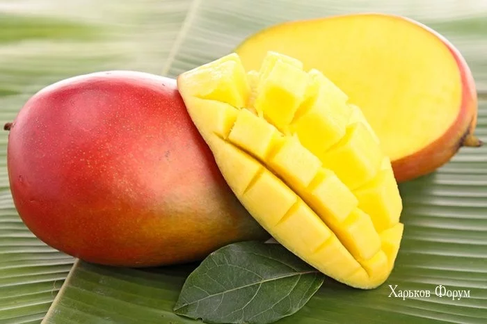 384806f83d19bcaccc2.webp