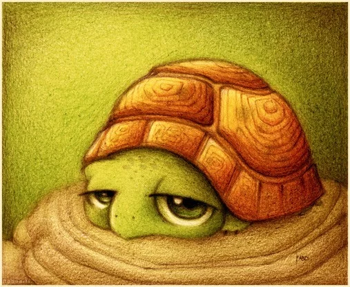 38592461_136784_tortuga__by_faboarts.webp