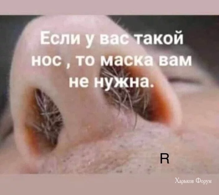 386ac834a44b61debde6dbab.webp