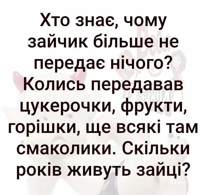 386b30e21f31f28cd344515.webp
