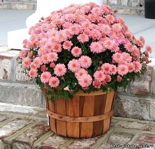 387425094.webp