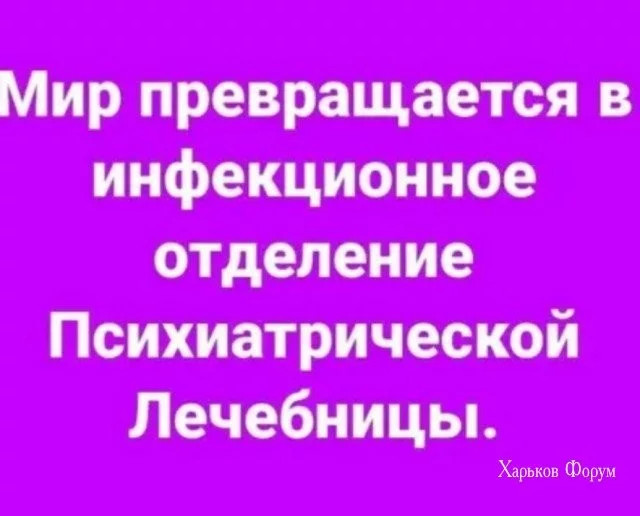 3875c7746938786081ac56.webp