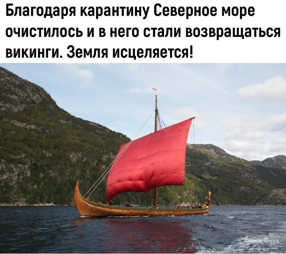 38781a8e77f5c246e2d81.webp