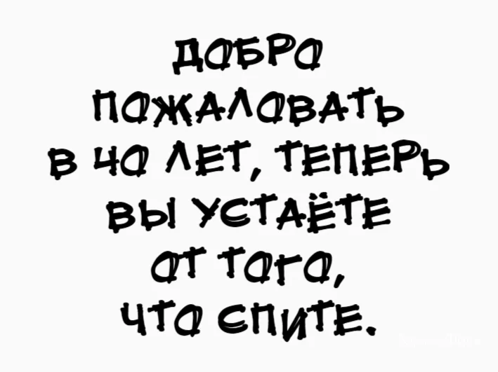 3881e5a519b7e9b1a70ec.webp