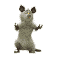 38908c190a0df5f071.gif