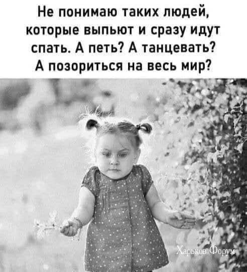 38931f312cf15f4c46259.webp