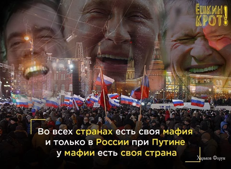 38aff911a3f74f99e7db294.webp