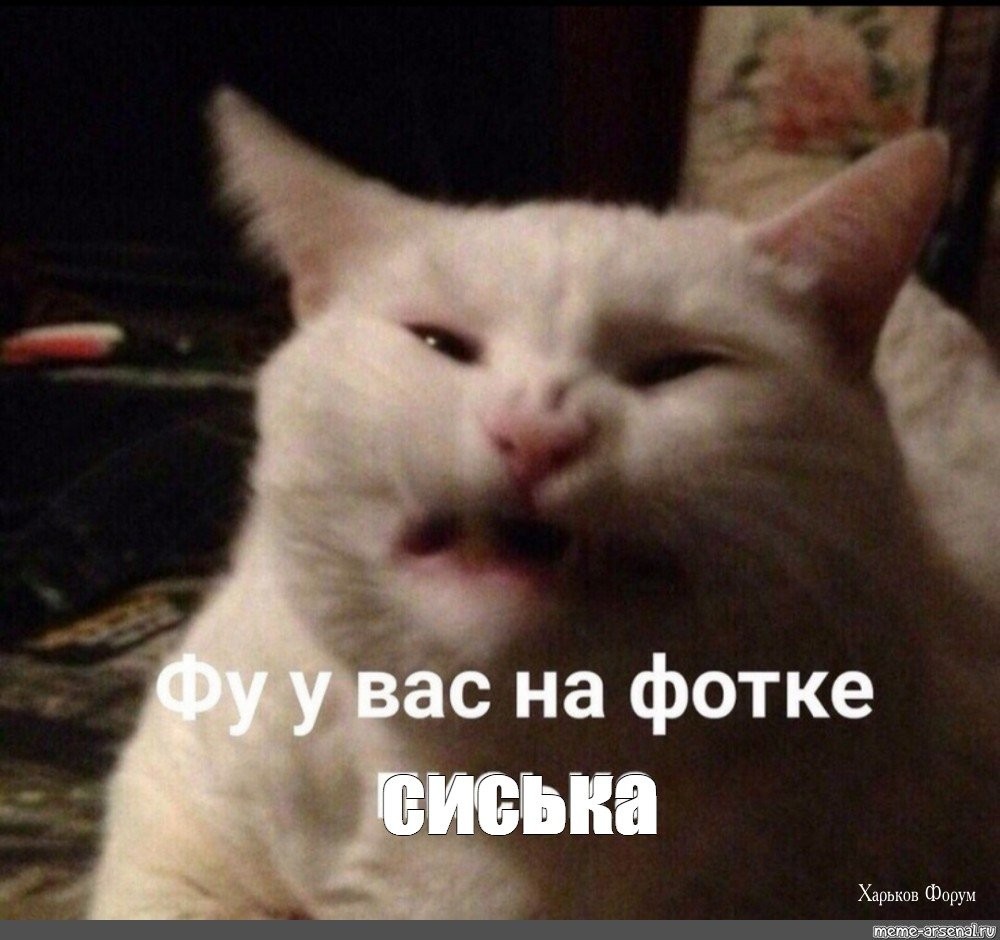 38d2c917c1597fb6a355f26.jpg