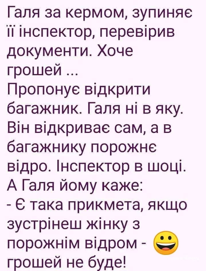 38d8c81a5876c12d729.webp