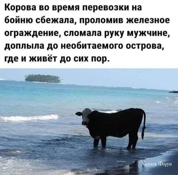 38e4d6abbe0f3b816cc160e.jpg