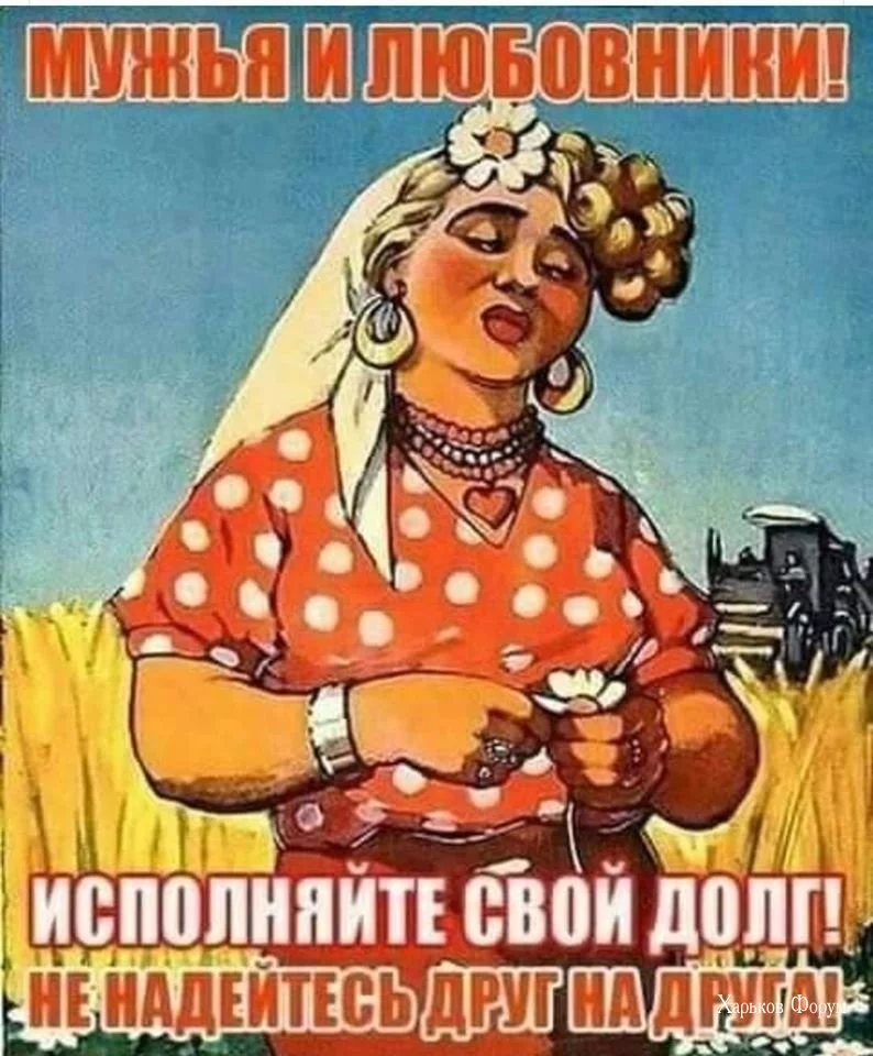 38fb4fc629f265f00.webp