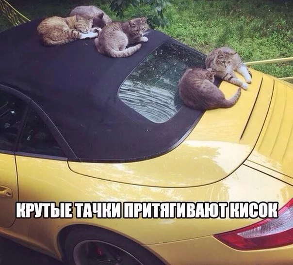 38G4zu75wZc.webp