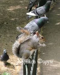 39083bd2dd4495748.webp