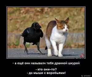 39211637309360--a-esche-oni-nazyval-demotions-ru.webp