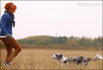 392237_original.gif