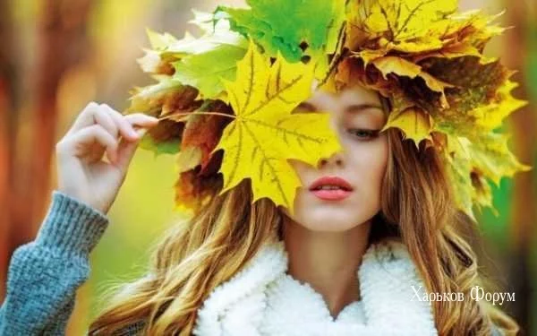 3927a12e236a2b6429.webp