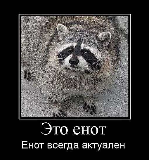 3936046.webp