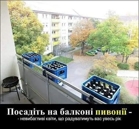39403726_1744262489004354_2136663143617658880_n.webp