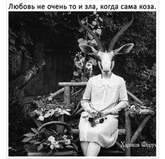 394733bd2229b60c02f136.webp