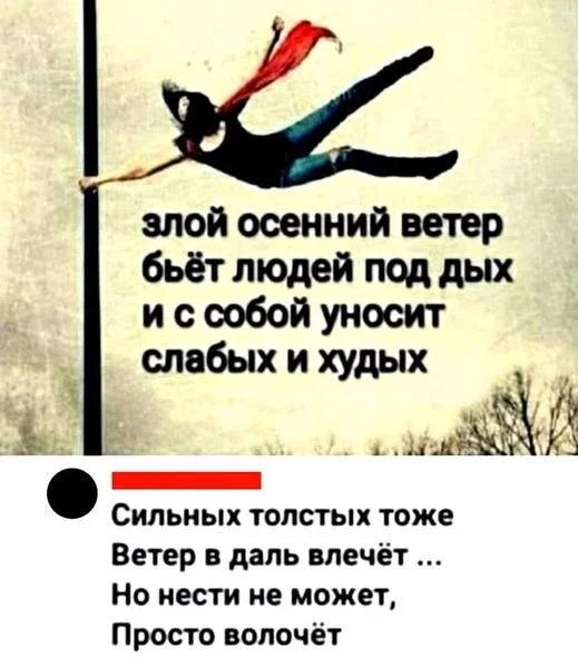 39499840197e275971.webp