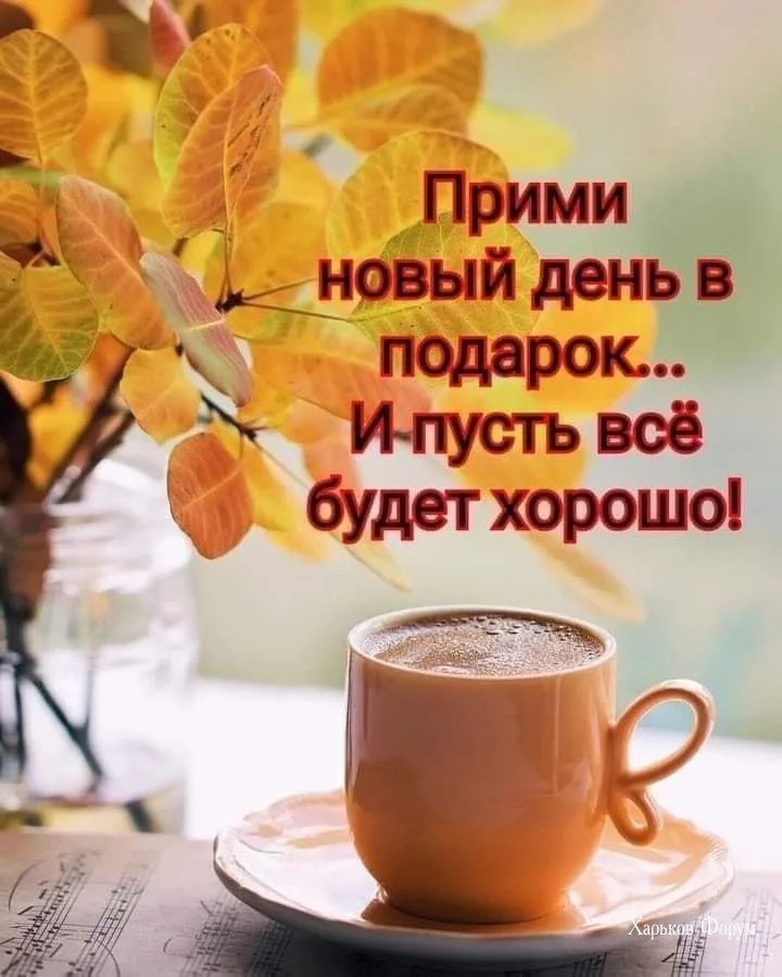 394f630e3f16bde87b6c.webp