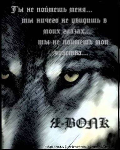 396.webp