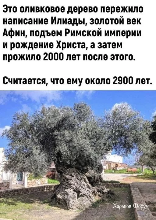 396d6924fb91ca10992.webp