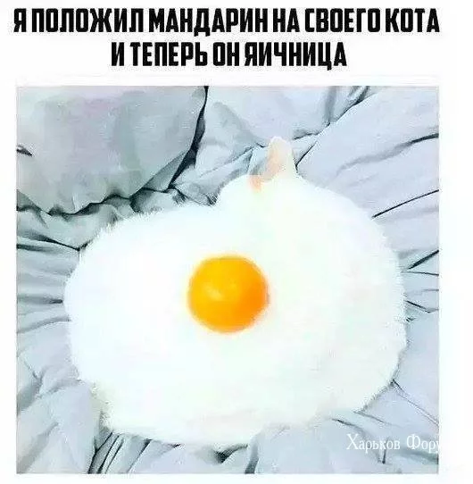 397111dd9792e6274aebc.webp