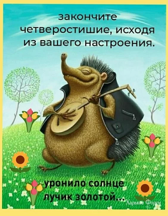397e0d0dc232ad270.webp