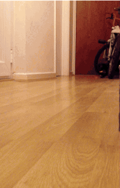 39881224e0e1ccf1337fd.gif