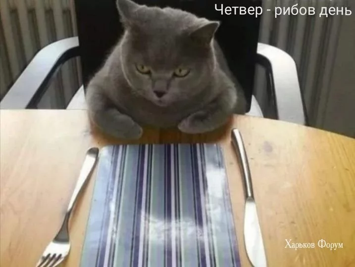3988f5173bfe56b8e.webp