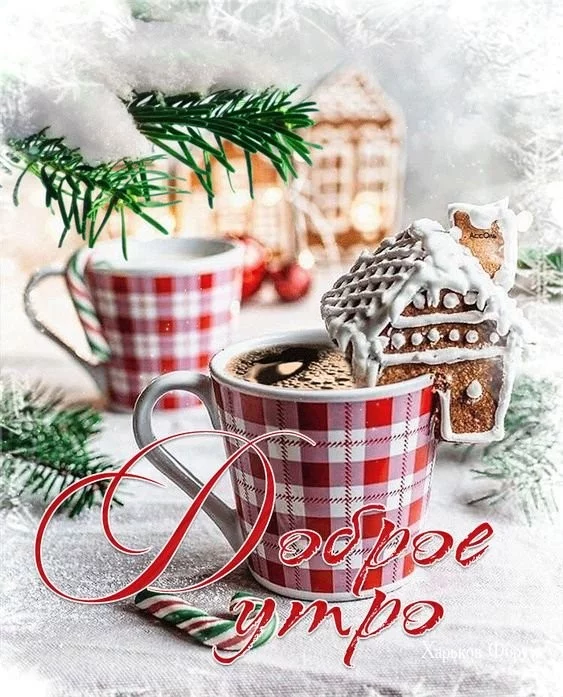 39922dc712ce37c064a.webp